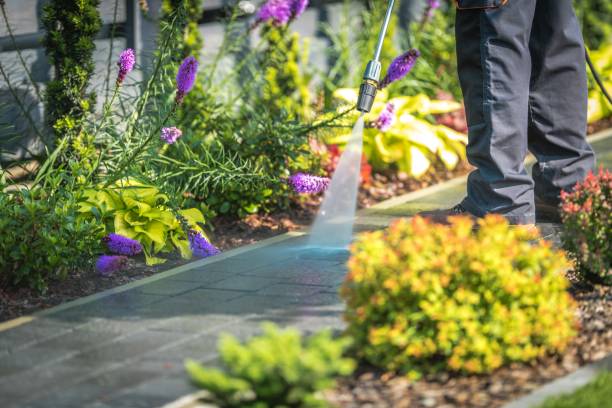 Professional Pressure Washing Services in Mitchellville, IA